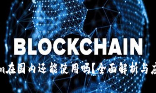Tokenim在国内还能使用吗？全面解析与应用前景