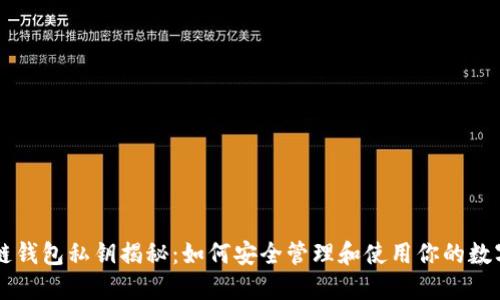 区块链钱包私钥揭秘：如何安全管理和使用你的数字资产