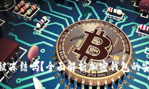 加密钱包会被冻结吗？全面解析加密钱包的安全性和风险