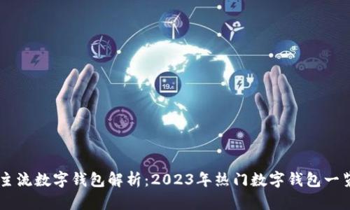 主流数字钱包解析：2023年热门数字钱包一览
