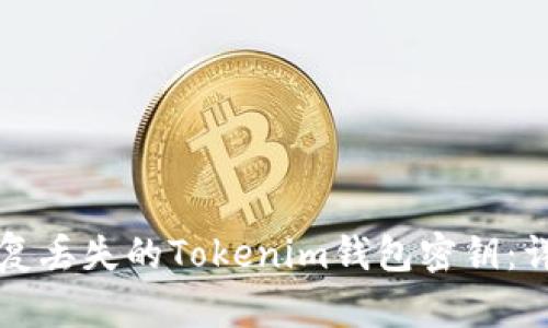 如何恢复丢失的Tokenim钱包密钥：详细指南