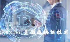 探索Tokenim：美国区块链技
