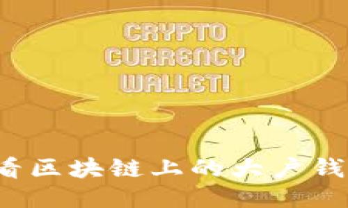 如何查看区块链上的大户钱包数量？
