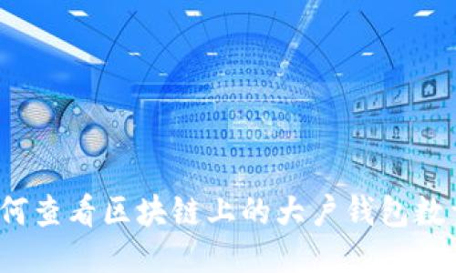 如何查看区块链上的大户钱包数量？