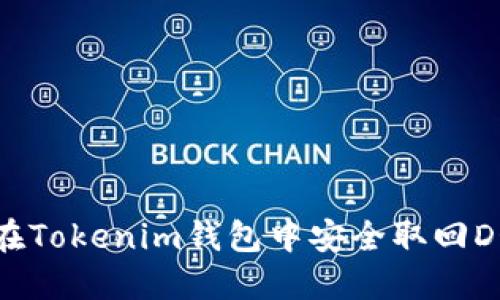 如何在Tokenim钱包中安全取回DOT币？