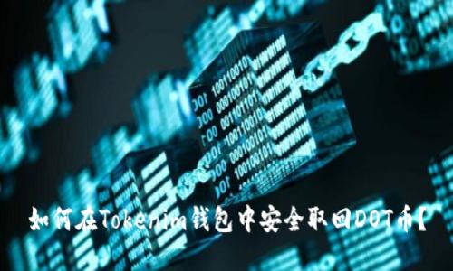 如何在Tokenim钱包中安全取回DOT币？