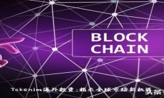 Tokenim海外投资：揭示全球