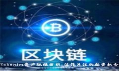 Tokenim资产规模分析：值得