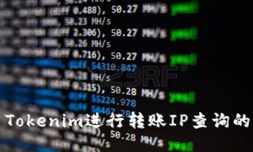 如何使用Tokenim进行转账IP查询的全面指南