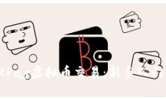 全面解析OKPay虚拟币交易：