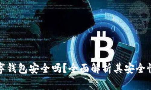 拍立数字钱包安全吗？全面解析其安全性与风险