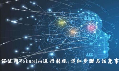 如何使用Tokenim进行转账：详细步骤与注意事项