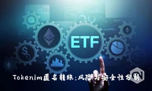 Tokenim匿名转账：风险与安全性分析