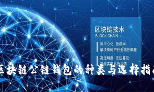 区块链公链钱包的种类与选择指南