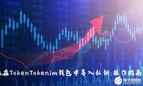 如何安全地在TokenTokenim钱包中导入私钥：操作指南与注意事项