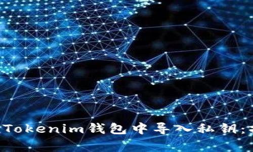 如何安全地在TokenTokenim钱包中导入私钥：操作指南与注意事项