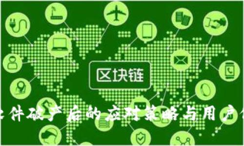 冷钱包软件破产后的应对策略与用户保护措施