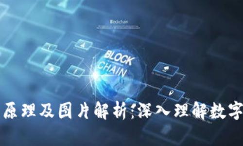 虚拟币钱包的原理及图片解析：深入理解数字货币安全储存