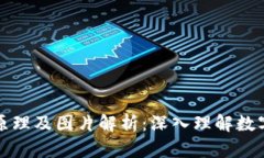 虚拟币钱包的原理及图片解析：深入理解数字货