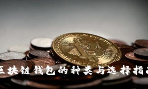 区块链钱包的种类与选择指南