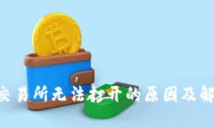 TOPAY交易所无法打开的原因及解决方案
