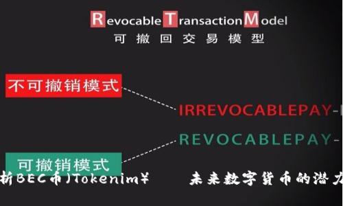 全面解析BEC币（Tokenim）——未来数字货币的潜力与价值