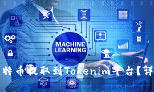 如何将中比特的比特币提取到Tokenim平台？详解步骤与注意事项