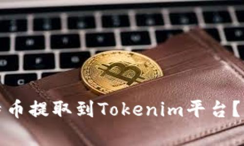 如何将中比特的比特币提取到Tokenim平台？详解步骤与注意事项