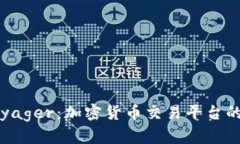 全面解析Voyager：加密货币