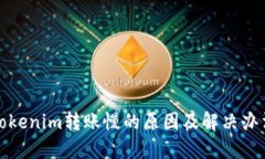 Tokenim转账慢的原因及解决