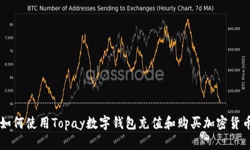 如何使用Topay数字钱包充值和购买加密货币