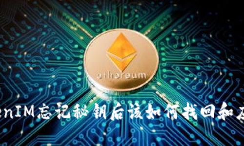TokenIM忘记秘钥后该如何找回和应对？