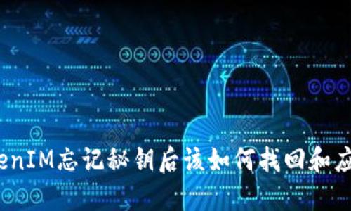 TokenIM忘记秘钥后该如何找回和应对？