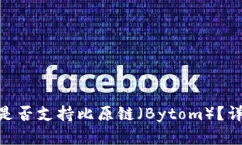 Tokenim钱包是否支持比原链（Bytom）？详解及使用指南