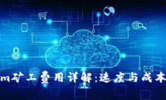 Tokenim矿工费用详解：速度