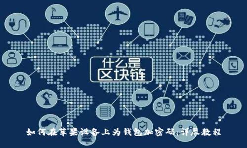 如何在苹果设备上为钱包加密码：详尽教程