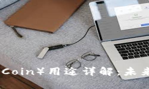 原子链币（Atomic Chain Coin）用途详解：未来数字资产的重要组成部分