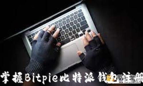 
轻松掌握Bitpie比特派钱包注册教程