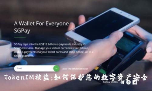 TokenIM被盗：如何保护您的数字资产安全