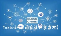 Tokenim关闭后该如何应对？