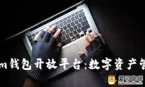 了解Tokenim钱包开放平台：数字资产管理的新选择