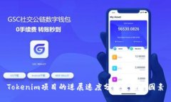 Tokenim项目的进展速度分析