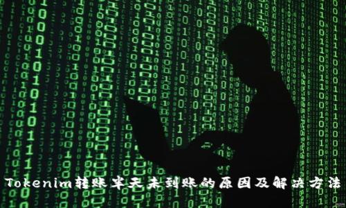 Tokenim转账半天未到账的原因及解决方法