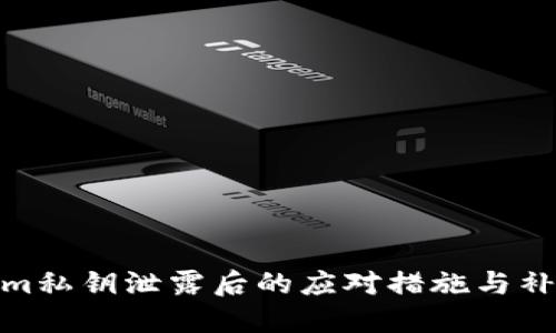 Tokenim私钥泄露后的应对措施与补救建议