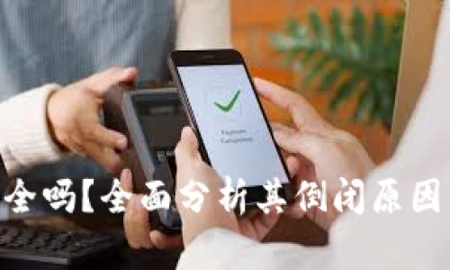 Tokenim安全吗？全面分析其倒闭原因与未来发展