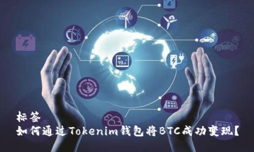 标签  
如何通过Tokenim钱包将BTC成功变现？