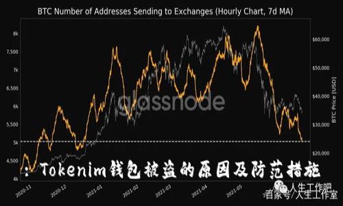 : Tokenim钱包被盗的原因及防范措施