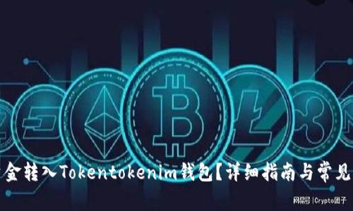 如何将资金转入Tokentokenim钱包？详细指南与常见问题解答
