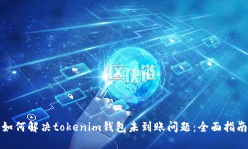 如何解决tokenim钱包未到账问题：全面指南