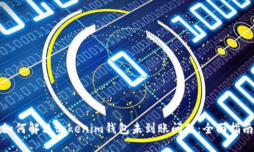 如何解决tokenim钱包未到账问题：全面指南